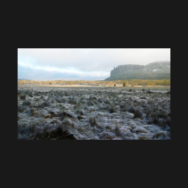Morning Frost, Mt Oakleigh, The Overland Track by ajdesignsau