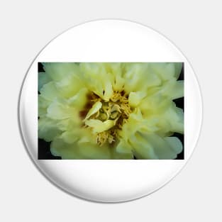 Garden Yellow Peony 4 Pin