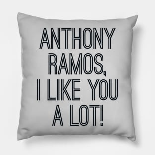 Anthony, I like you a lot Pillow