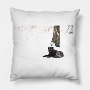 Black Wolf in winter Pillow