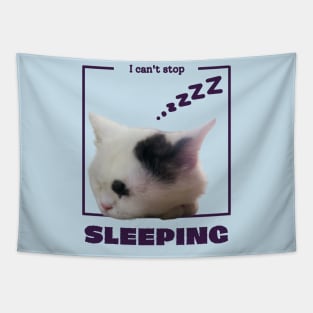 I can't stop sleeping Tapestry