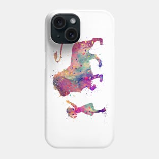 Girl and Lion Colorful Watercolor Animals Lover Gift Phone Case