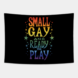 Small Gay and Ready to Play Tapestry