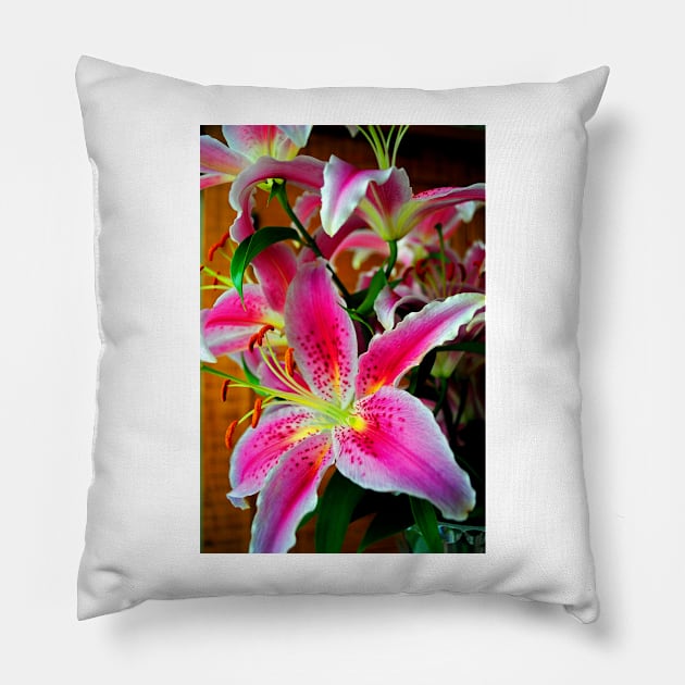 Pink Lily Lilium Herbaceous Flowering Plants Pillow by Andy Evans Photos