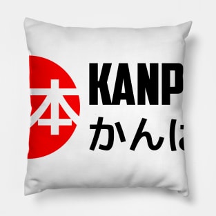 Kanpai ! Pillow