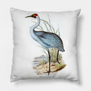 Australian Crane (Grus Australasianus) Pillow