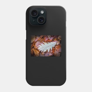 Oak Leaf on Beech Leaves Phone Case