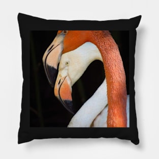 Caribbean Flamingo Pillow