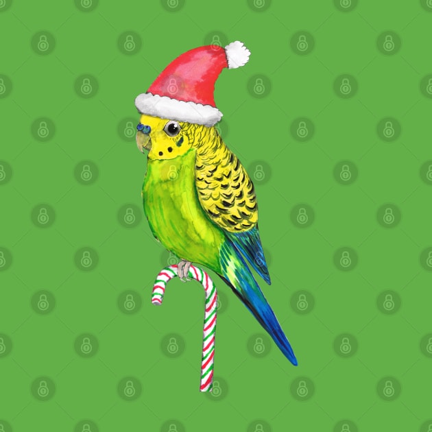 Budgie Christmas style by Bwiselizzy