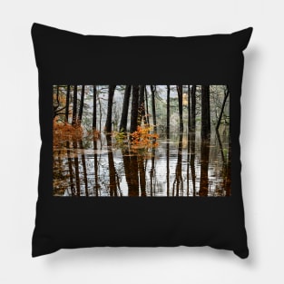 Rising Waters Pillow