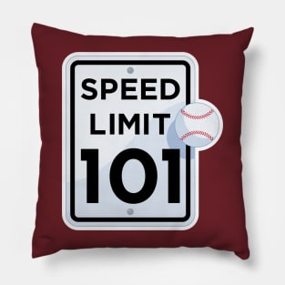 Speed Limit Pillow