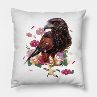 Parabuteo unicinctus Pillow