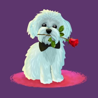 Maltese with Rose T-Shirt