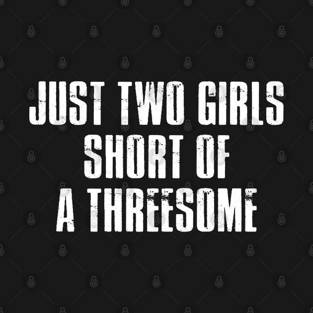 Funny Just Two Girls Short Of A Threesome T-Shirt by designready4you