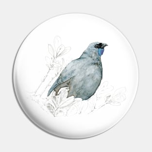 Mrs Kokako, New Zealand native bird Pin