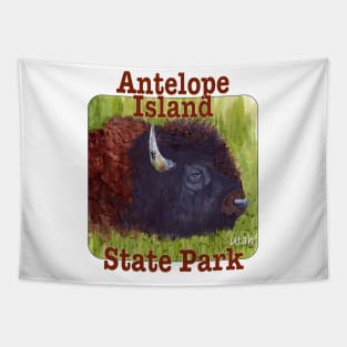 Antelope Island State Park, Utah Tapestry