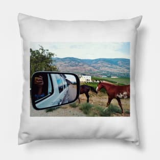 Van road trip journey in South Okanagan valley, British Columbia, Canada. Pillow