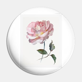 Pink delicate rose hand painted watercolour by Leanne Pin