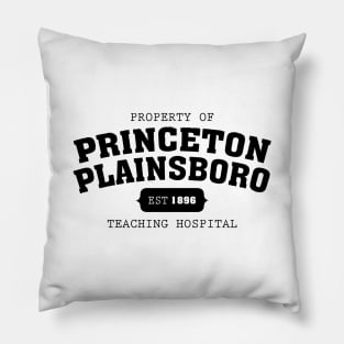 Property Of Princeton Plainsboro House Md Pillow