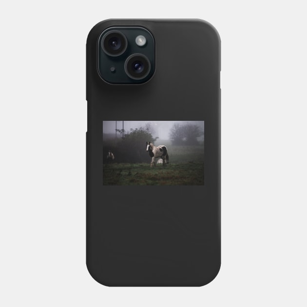 Through The Mist Phone Case by Ladymoose