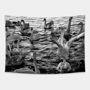 Swan Lake B&W Tapestry