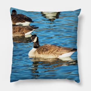 Multiple Canadian Geese Swimming Pillow