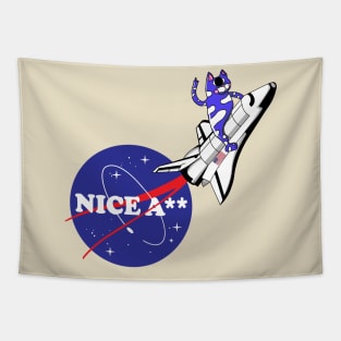 Nice Ass NASA USA Tapestry