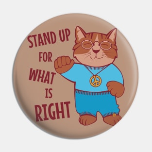 Stand Up for What is Right Pin