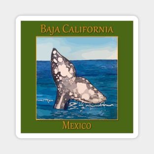 Whale Tail in Baja California Mexico Magnet