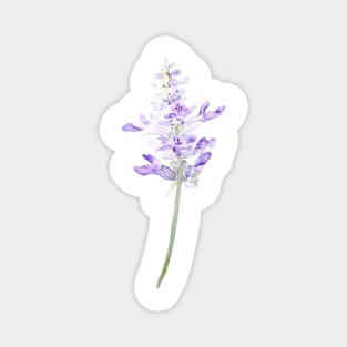 one purple fernleaf lavender watercolor Magnet