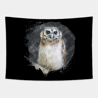 Owl Bird Animal Wildlife Forest Nature Flight Outdoor Tapestry