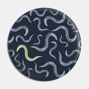 Caenorhabditis elegans Model Organism Biology Pattern Pin