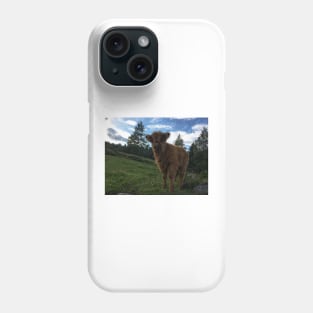 Scottish Highland Cattle Calf 1799 Phone Case