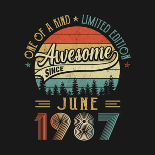 June 1987 Vintage 35 Years Old Retro 35th Birthday T-Shirt