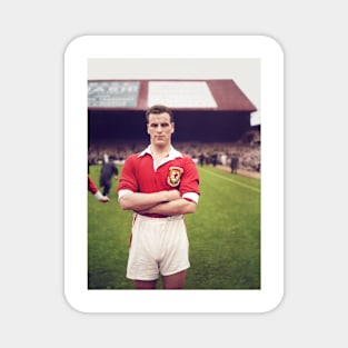 John Charles Welsh Mountain Magnet