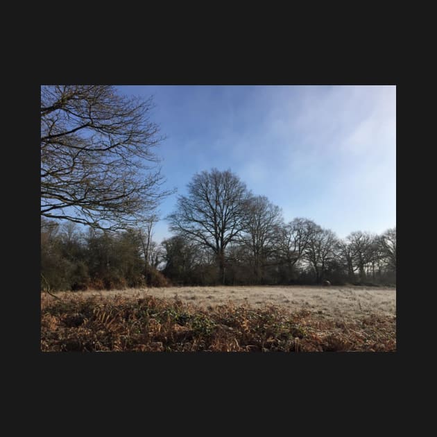 French Countryside In Winter by golan22may