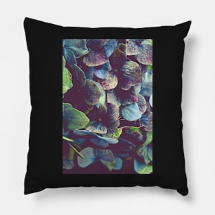 Hydrangea Botanical 1 Pillow