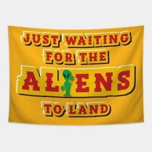 Funny UFO Just Waiting For The Aliens To Land Lover Fan Tapestry