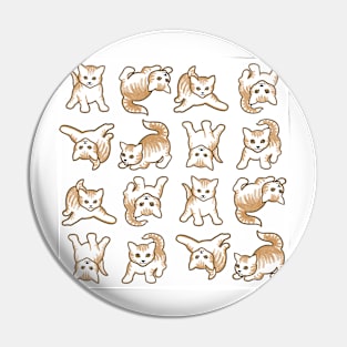 Playful Kittens are Everything on White Background Pin