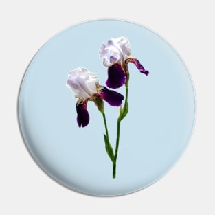 Twin Irises Maroon and White Pin