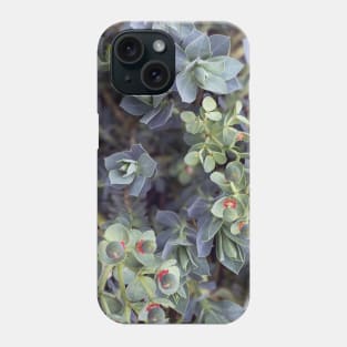 Stonecrops in Spring Phone Case