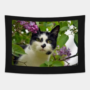 Cute Cat Tapestry