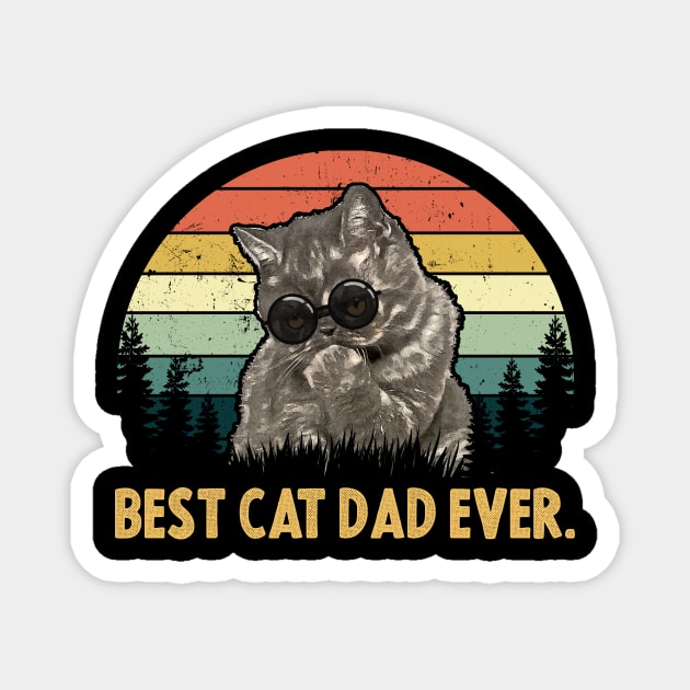 Best Cat Dad Ever Funny Cat Magnet by monsieurfour