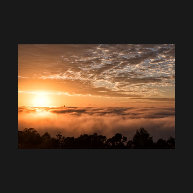 Foggy Brisbane Sunrise by krepsher