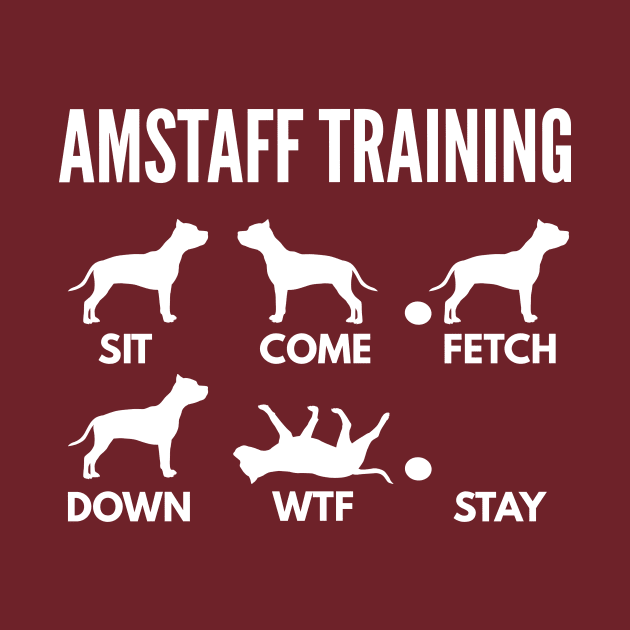 Amstaff Training Staffordshire Tricks by DoggyStyles