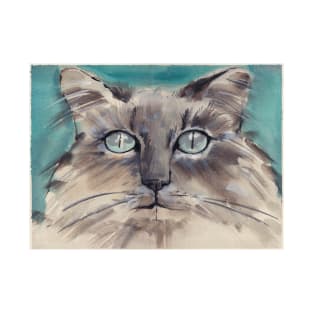 Longhair gray kitty with blue eyes T-Shirt