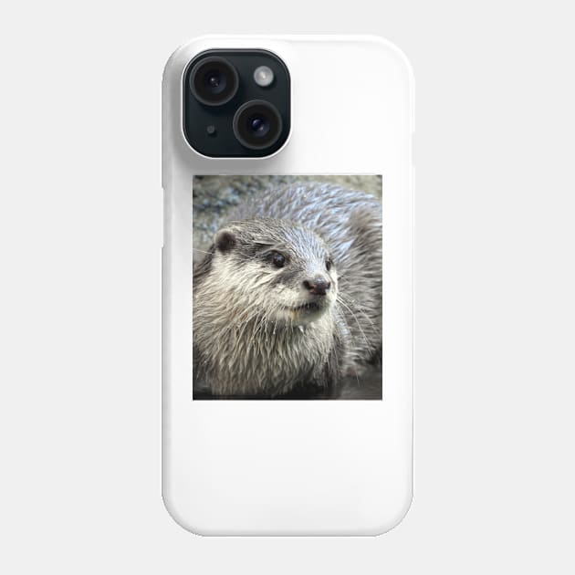 Otter Phone Case by kirstybush