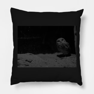 Halloween Owl in the Dark Pillow