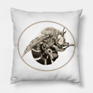 Curled Bee Taupe Pillow