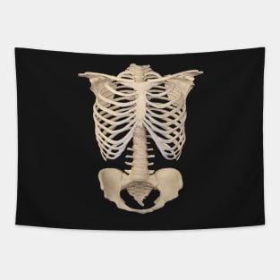 Dark academia 1980s Funny halloween  Anatomy bones skeleton Tapestry